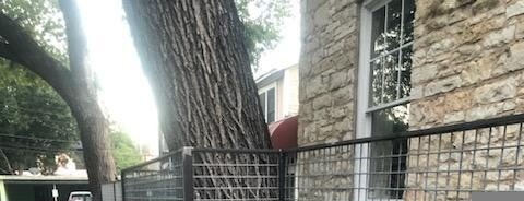 Steel mesh railing